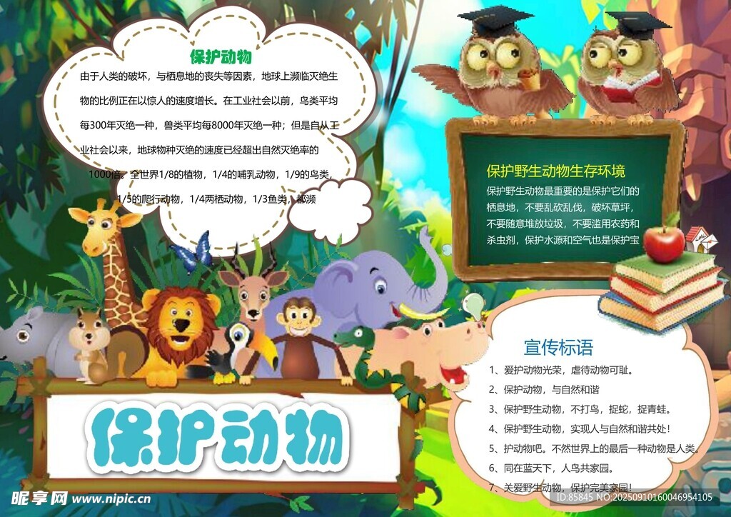 爱护动物手抄报