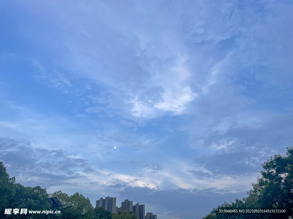 蓝天绿树间的美丽天空