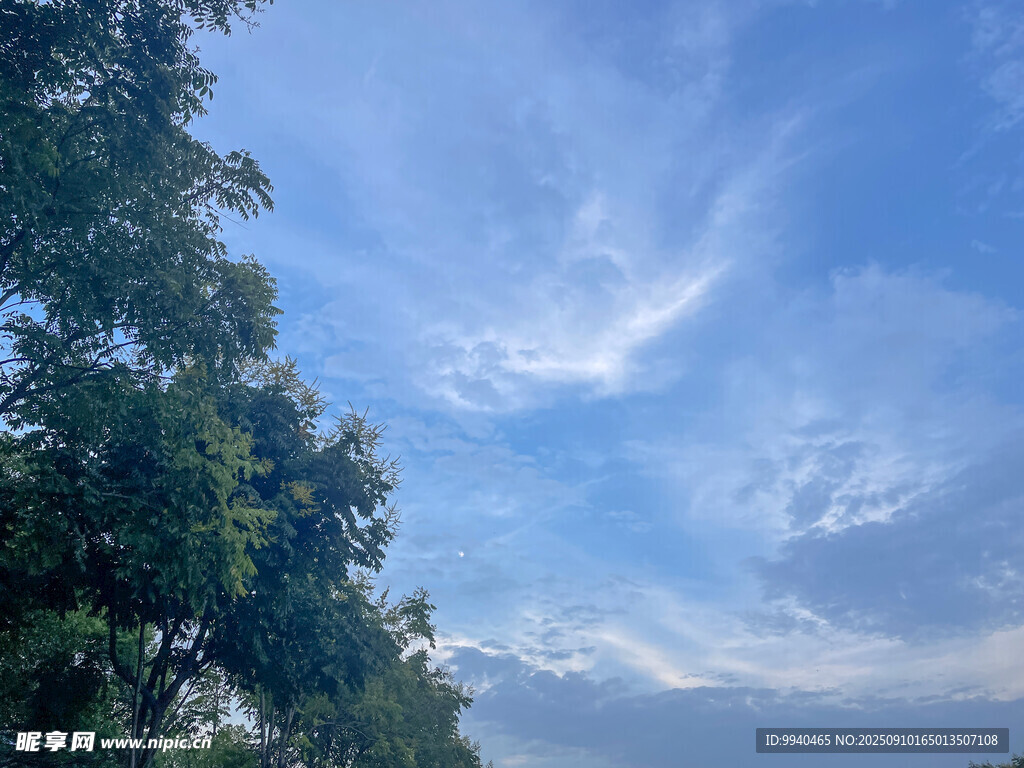 蓝天绿树间的美好景致
