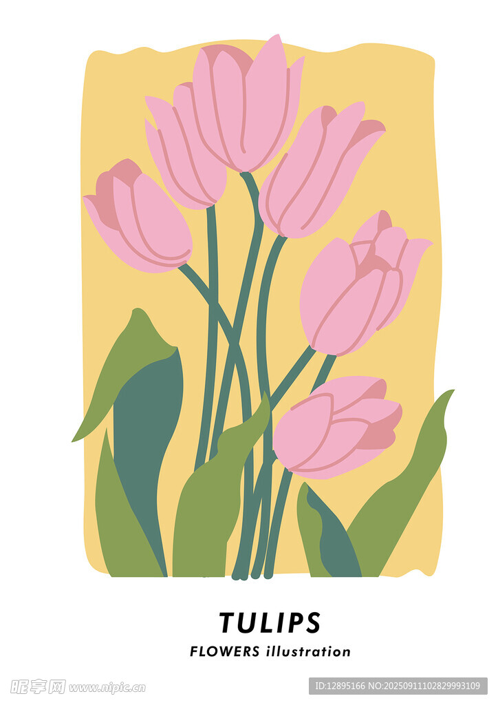 粉色郁金香插画