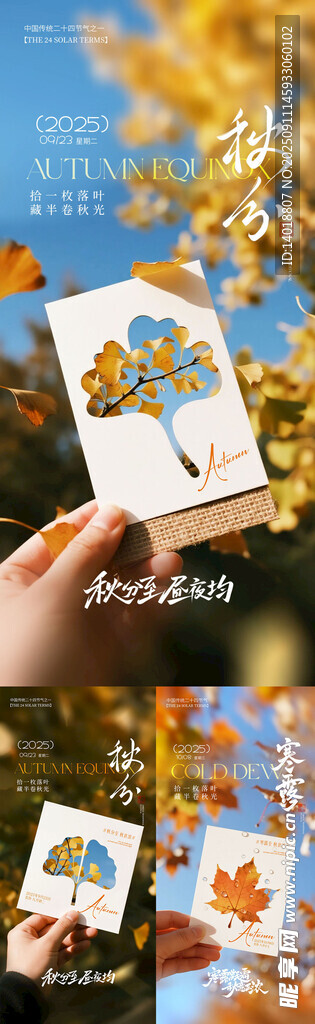 秋分寒露海报