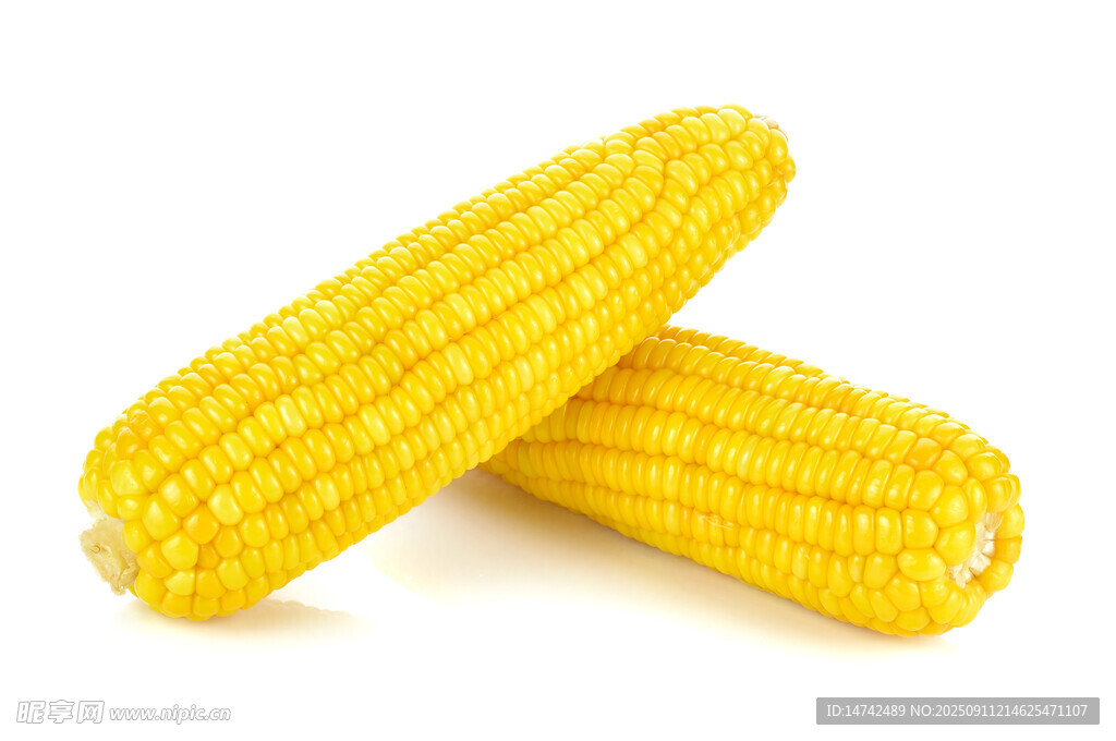 新鲜玉米
