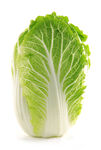 新鲜大白菜