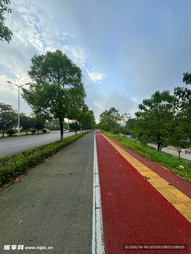 彩色步道旁绿树成荫