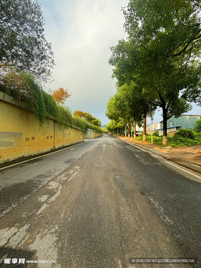 乡村宁静公路风景