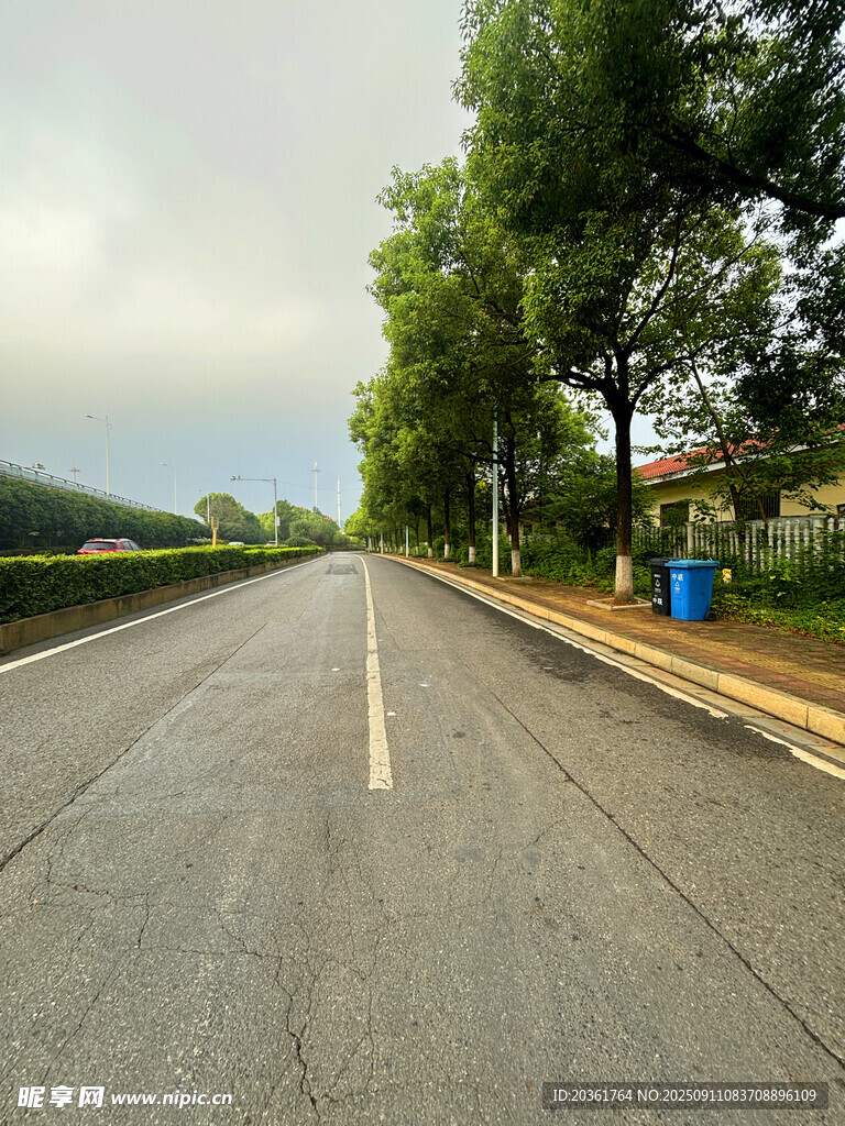 乡村柏油公路风景