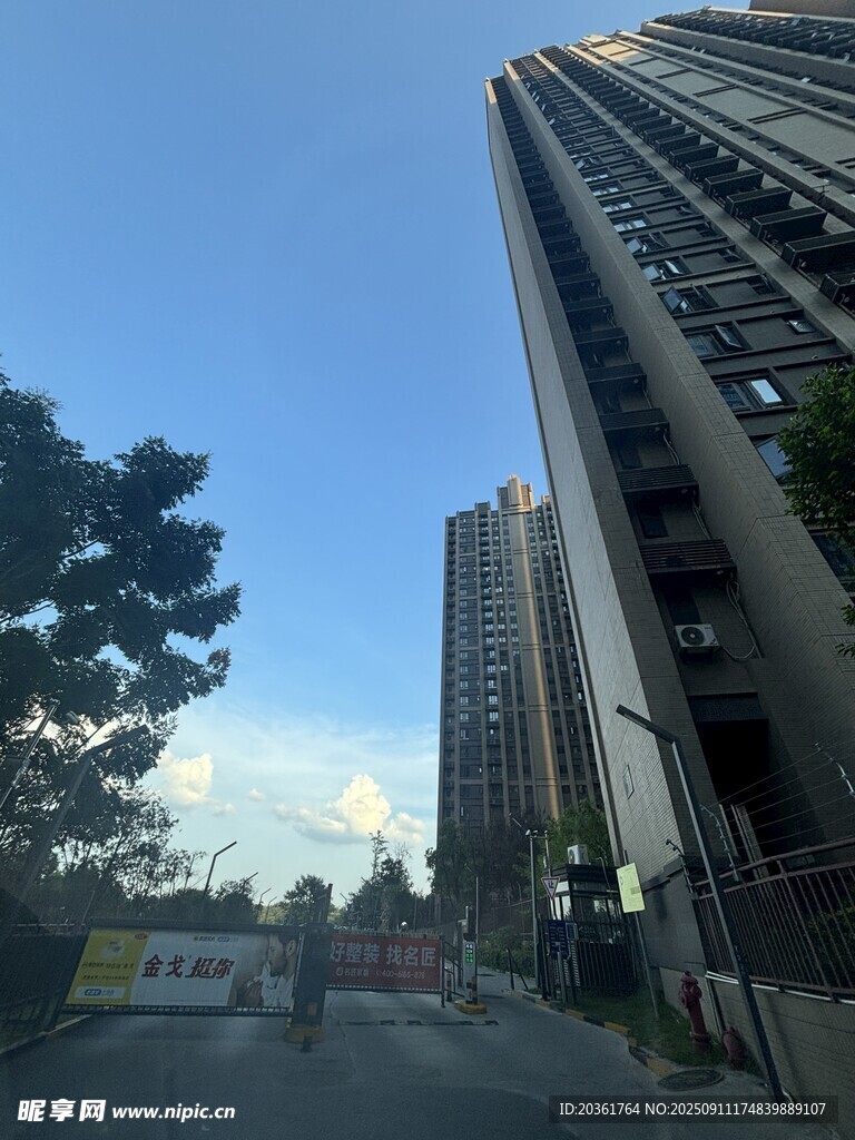 城市高楼与街边绿树景观