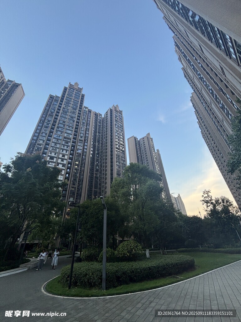 城市高楼与绿植景观