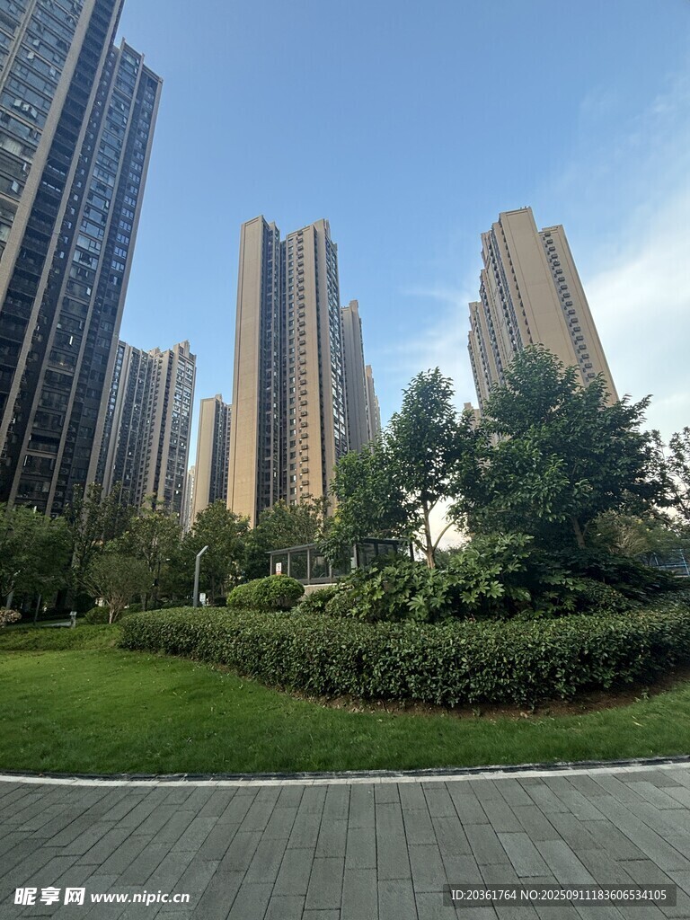 城市高楼旁的绿地景观