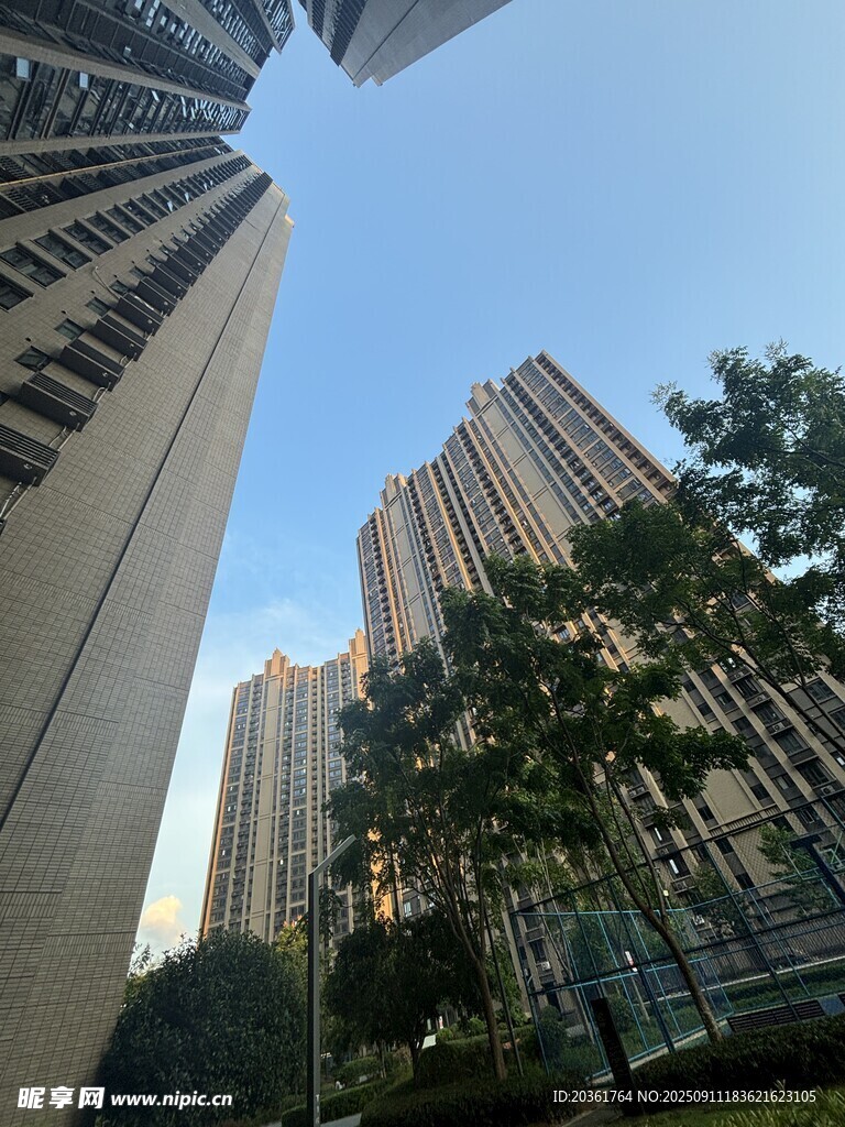 都市高楼与绿植景观