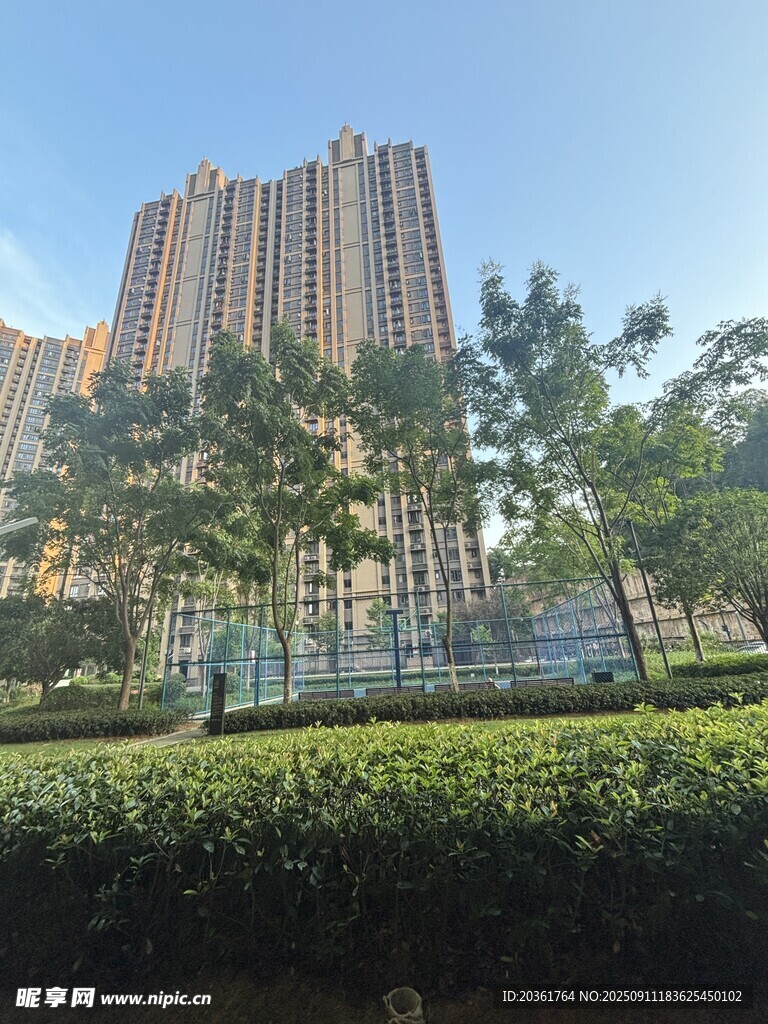 城市高楼旁的绿植景观