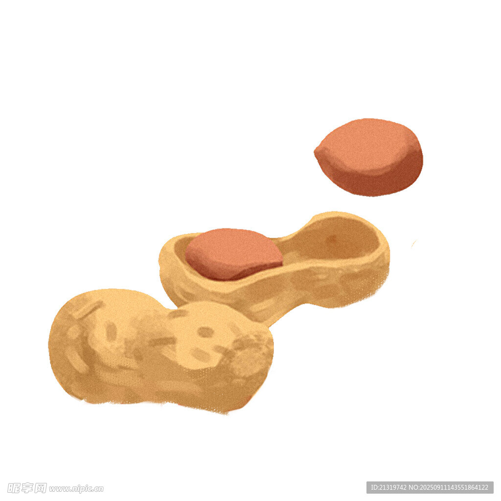 花生插画