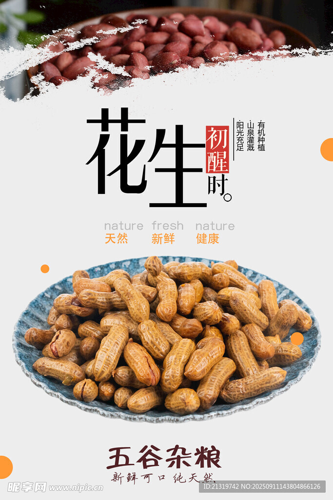花生海报