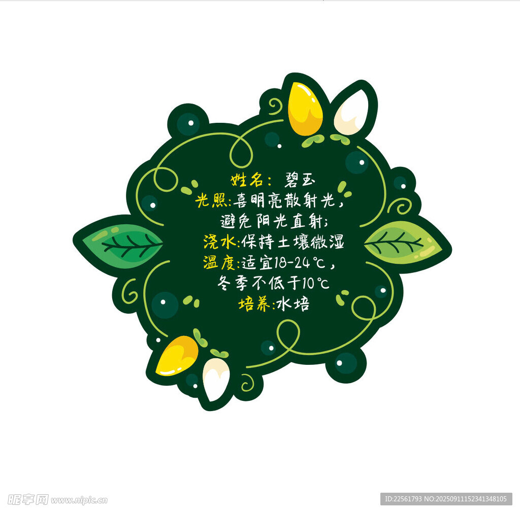 植物养护卡