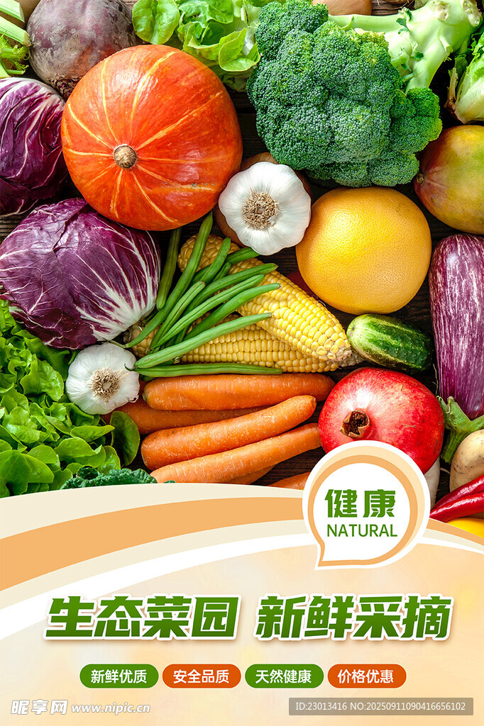 生态菜园新鲜多样蔬菜