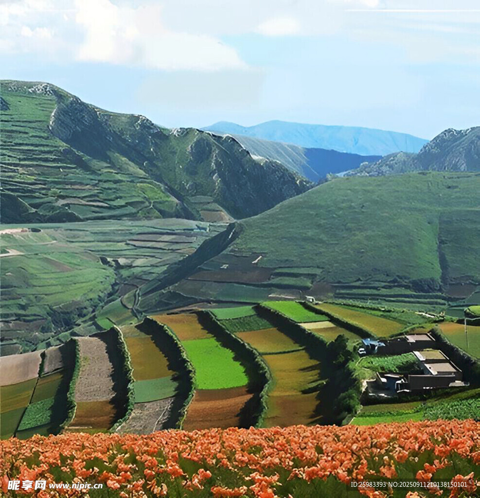 梯田