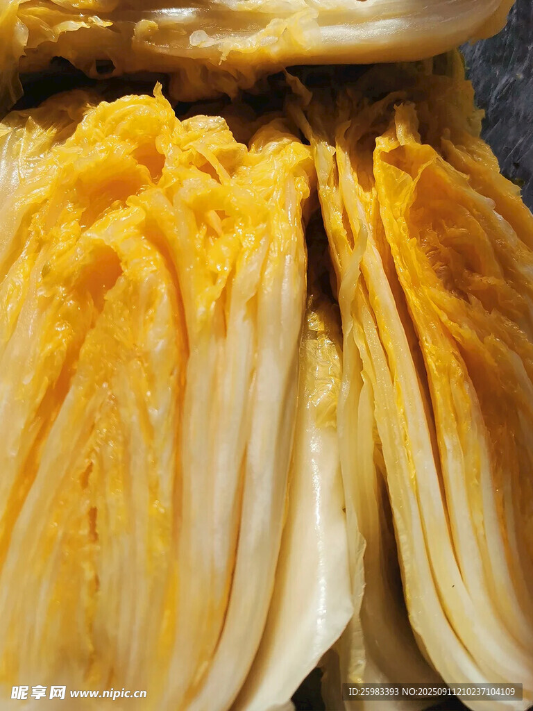大白菜