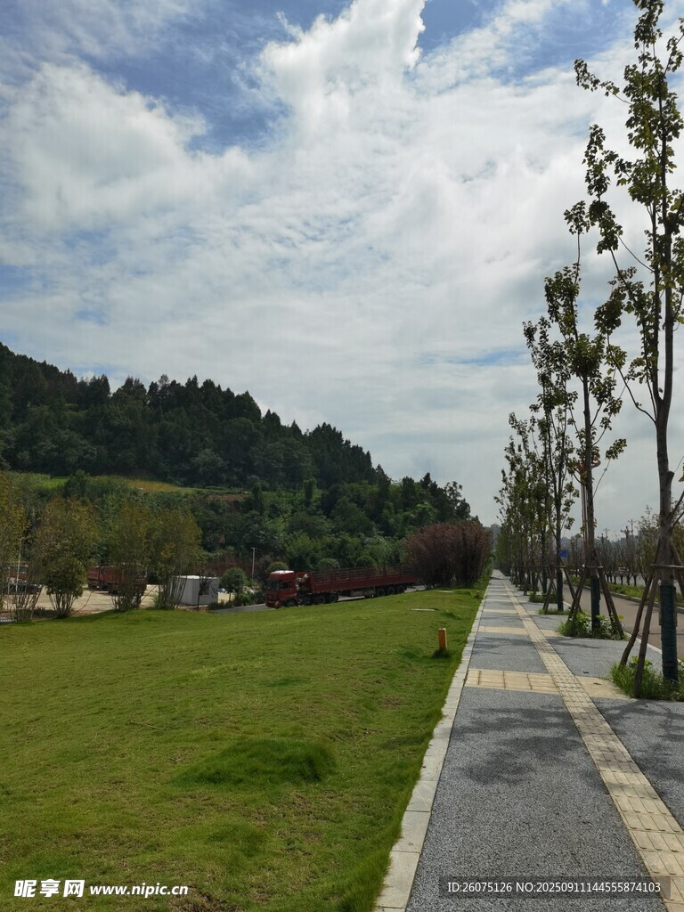 郊外林荫步道自然风光