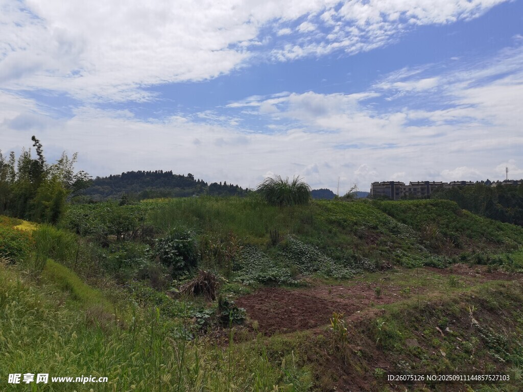 田园风光的自然景色
