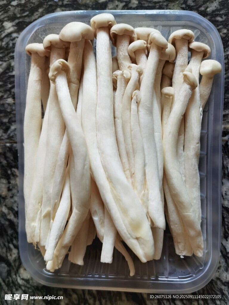 盒装新鲜海鲜菇
