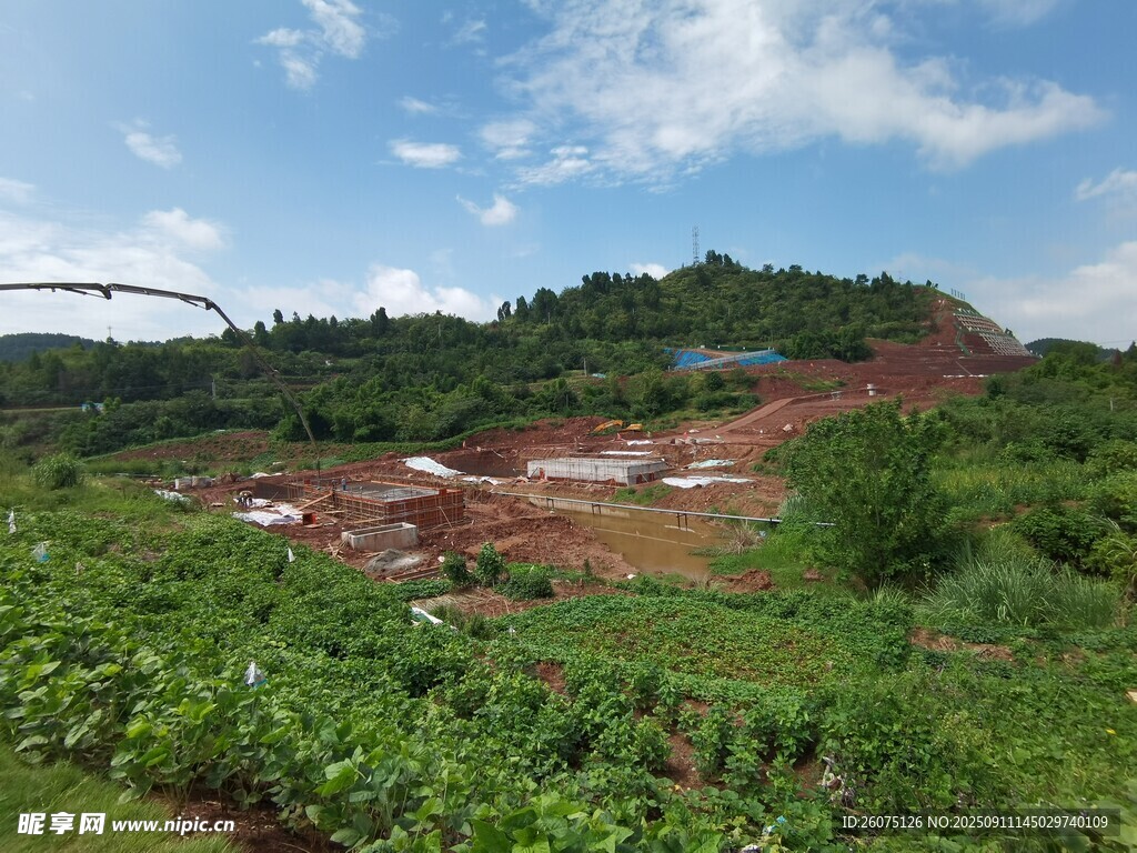 山坡农田风景