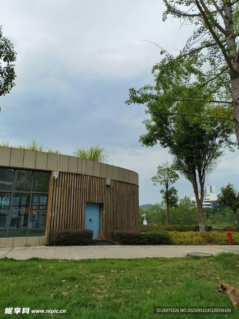 现代风格绿植覆盖建筑外观