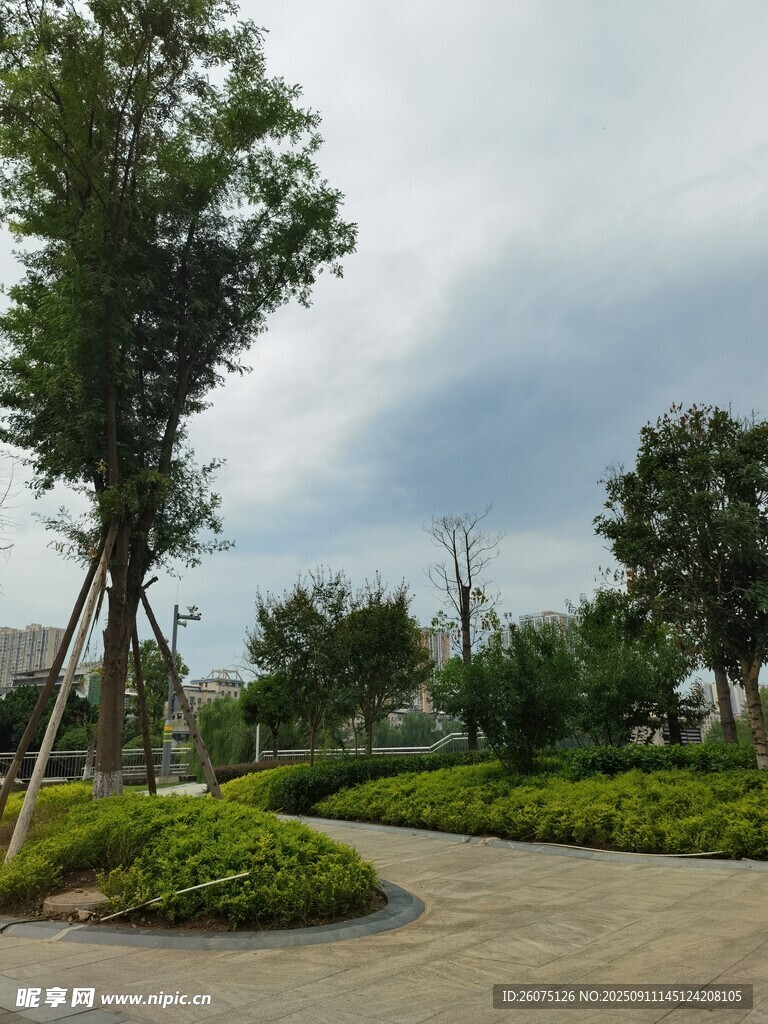 公园蜿蜒小径与绿植景观