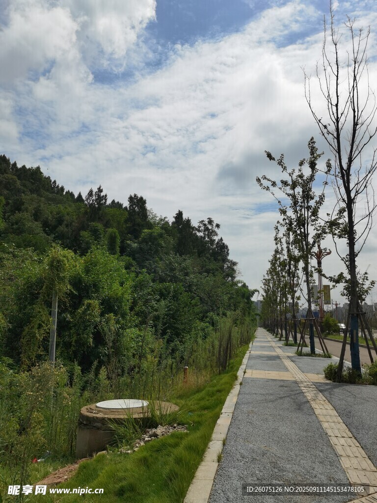 林间漫步道自然好风光