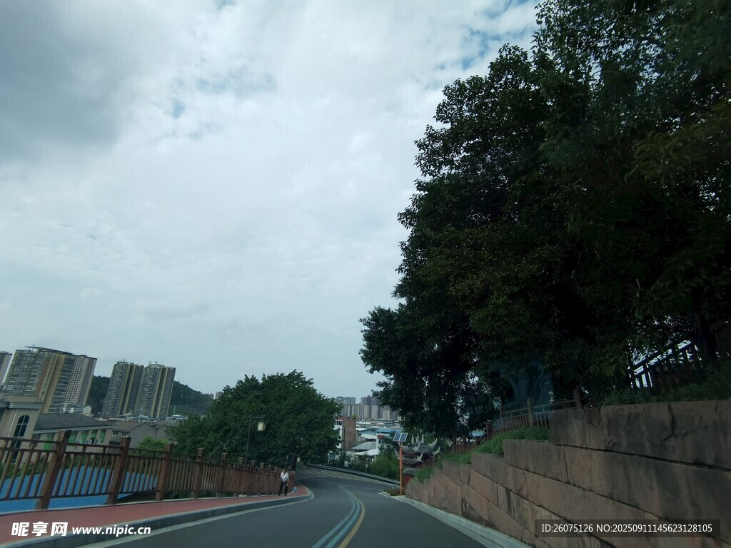 公路旁绿树与远处建筑