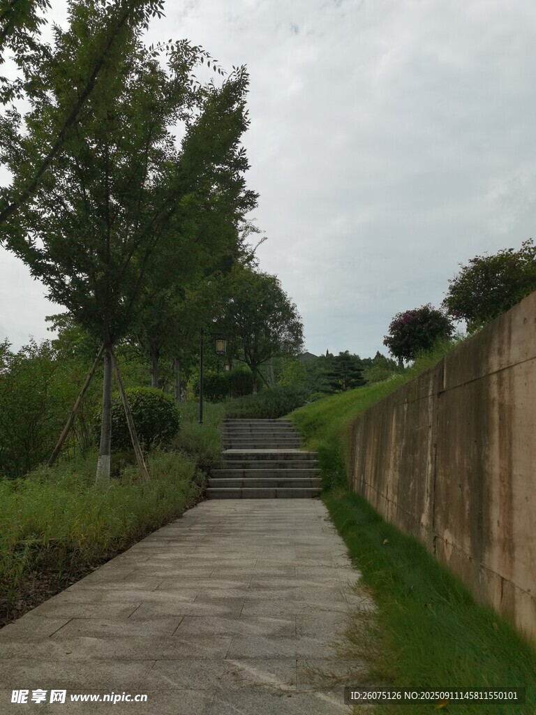 幽静小路通往绿意阶梯