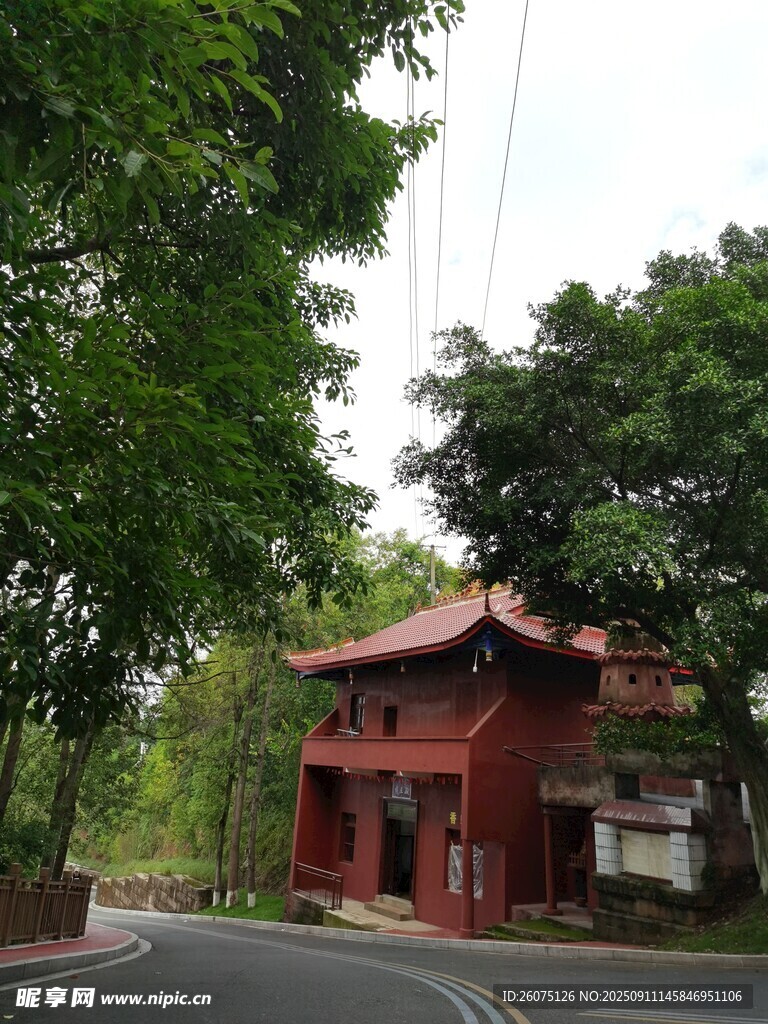 绿树环绕的红顶小屋