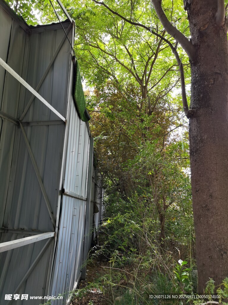 户外废弃护栏旁的绿植景观