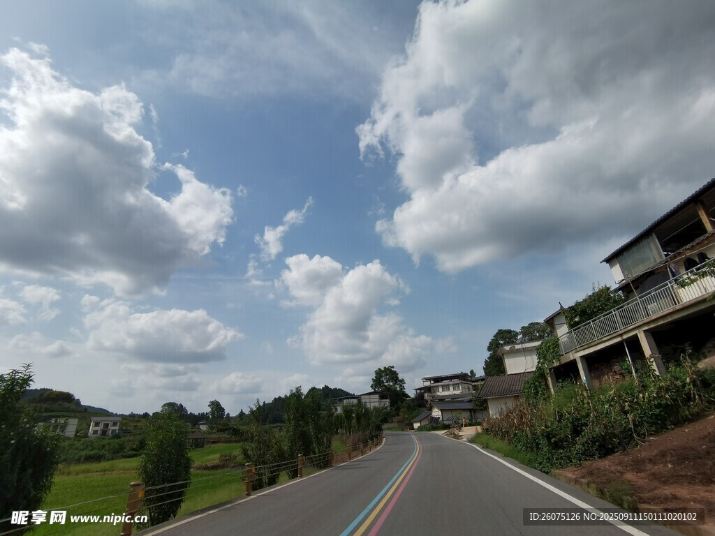 乡村公路旁的美丽景致
