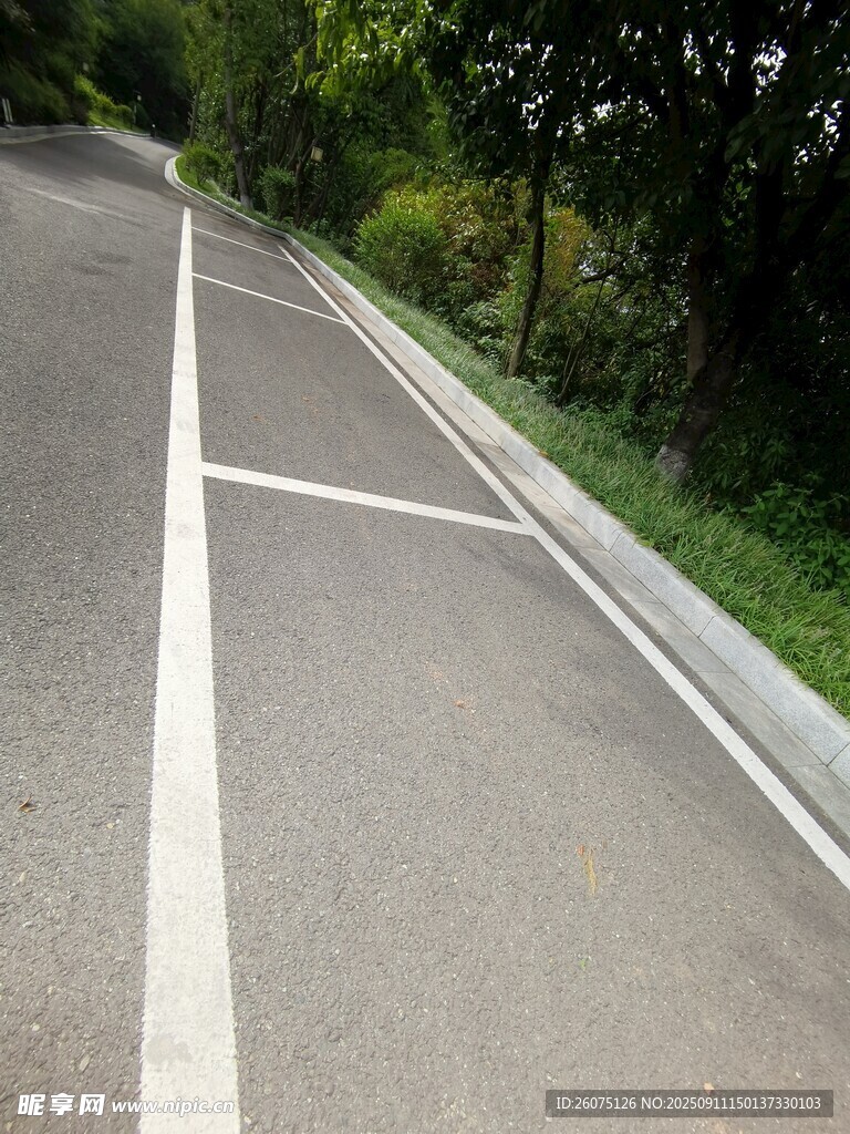 蜿蜒公路旁划白线的停车位