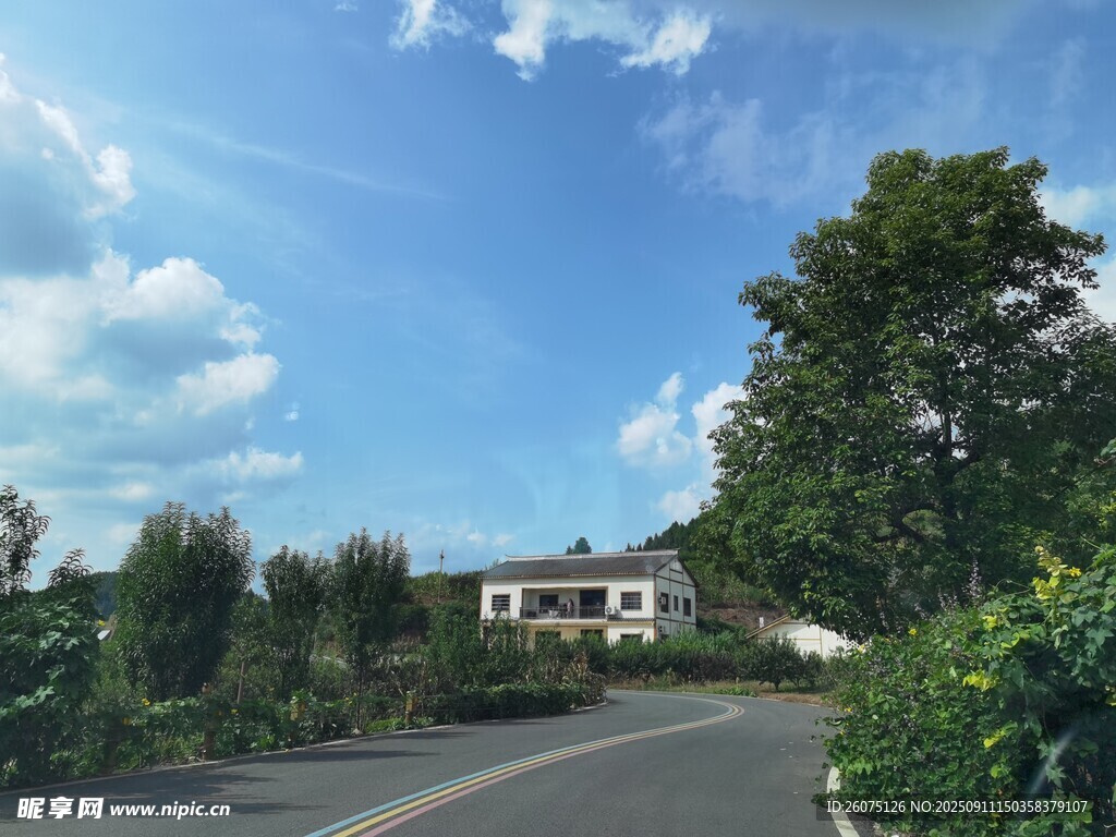 乡村公路旁的美丽住宅