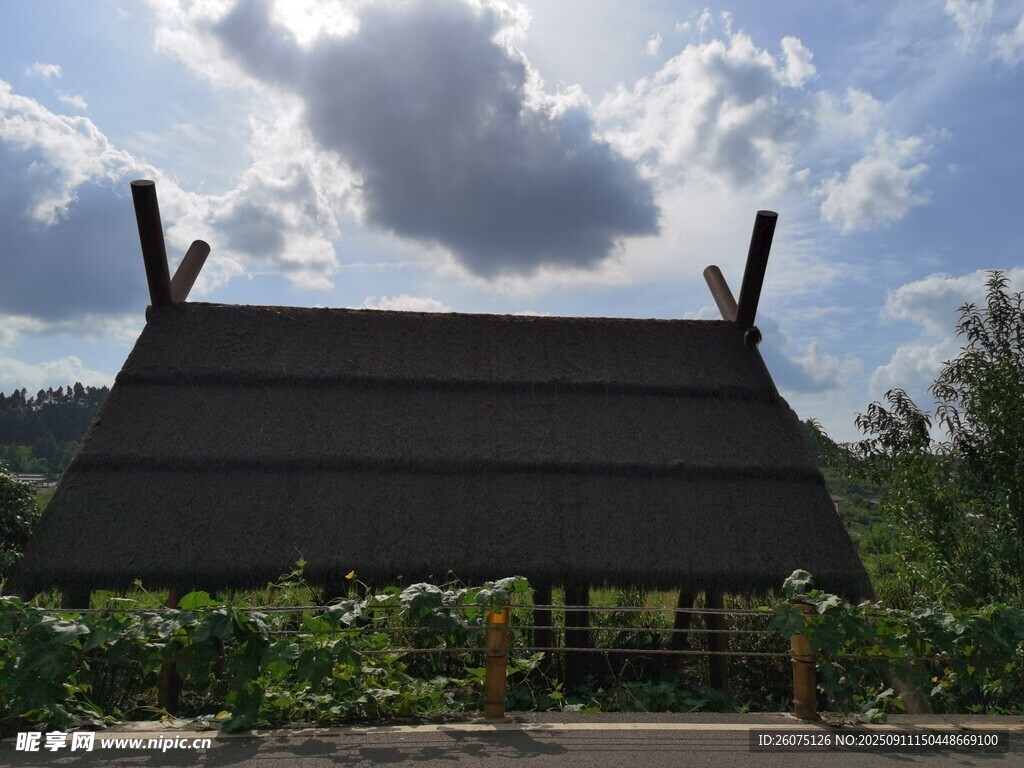 传统茅草屋自然田园风光