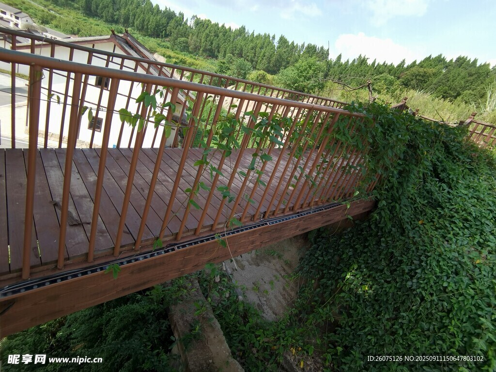 山间铁索桥横跨绿意之中