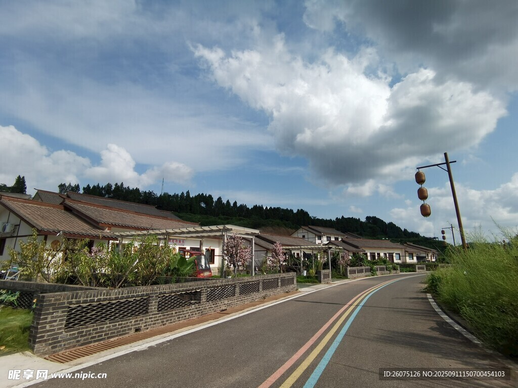 乡村多彩道路与民居风景