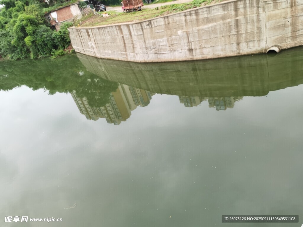 平静河水映岸边景致