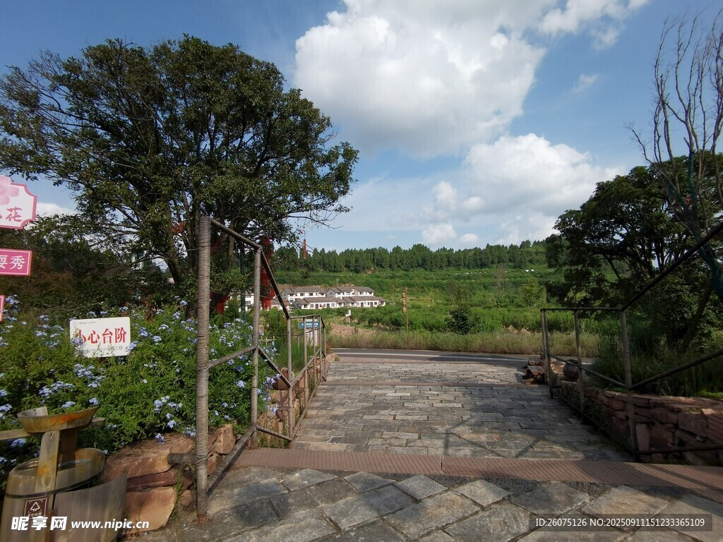 乡村庭院小道风景