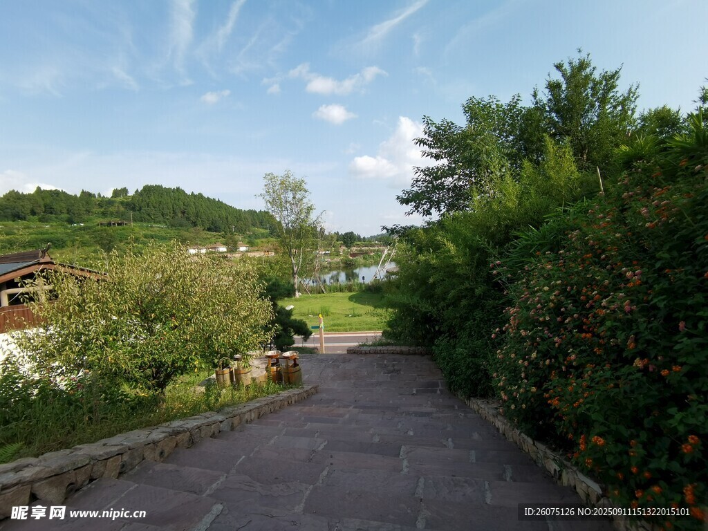 乡间小径绿意盎然的风景