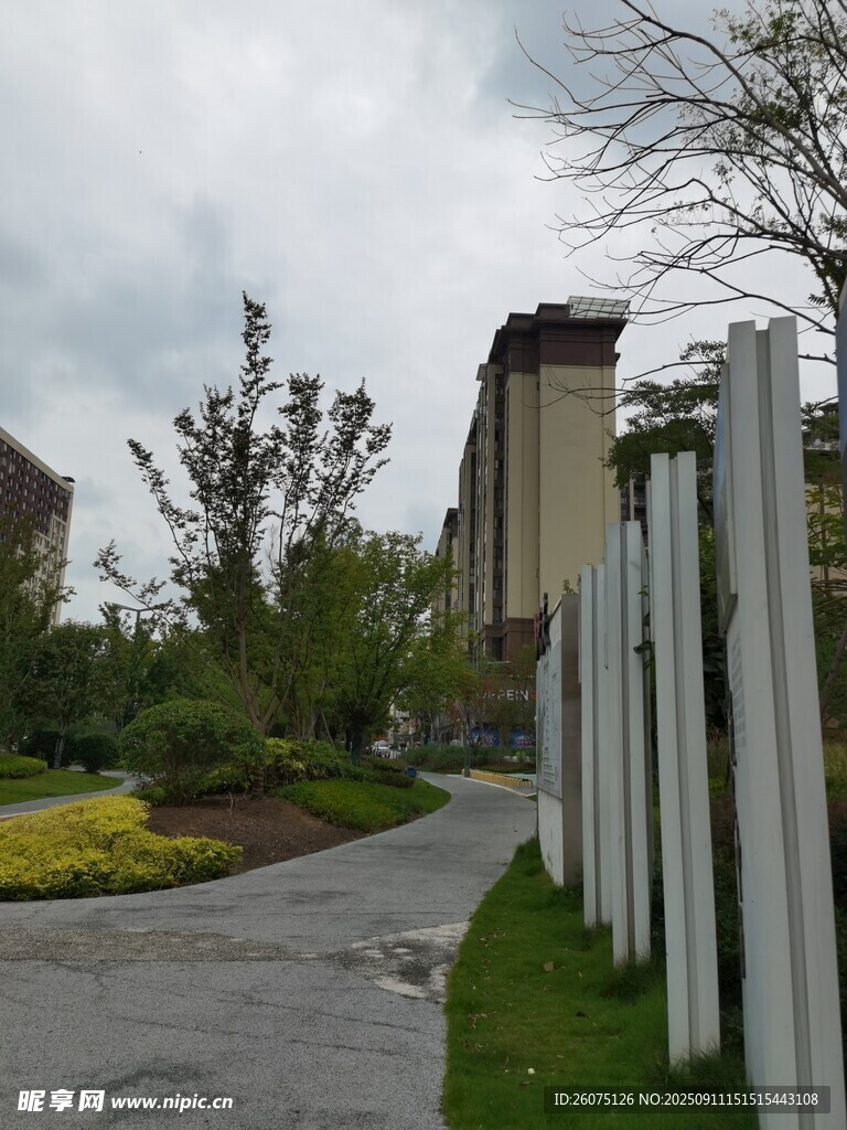 小区景观道路与建筑风光