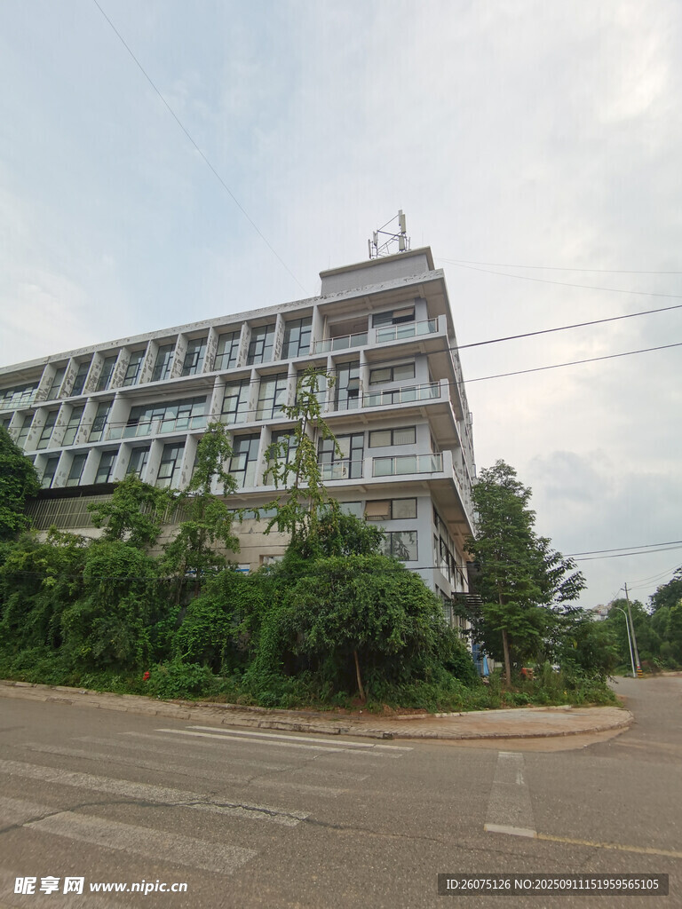 路边多层建筑与绿植景观