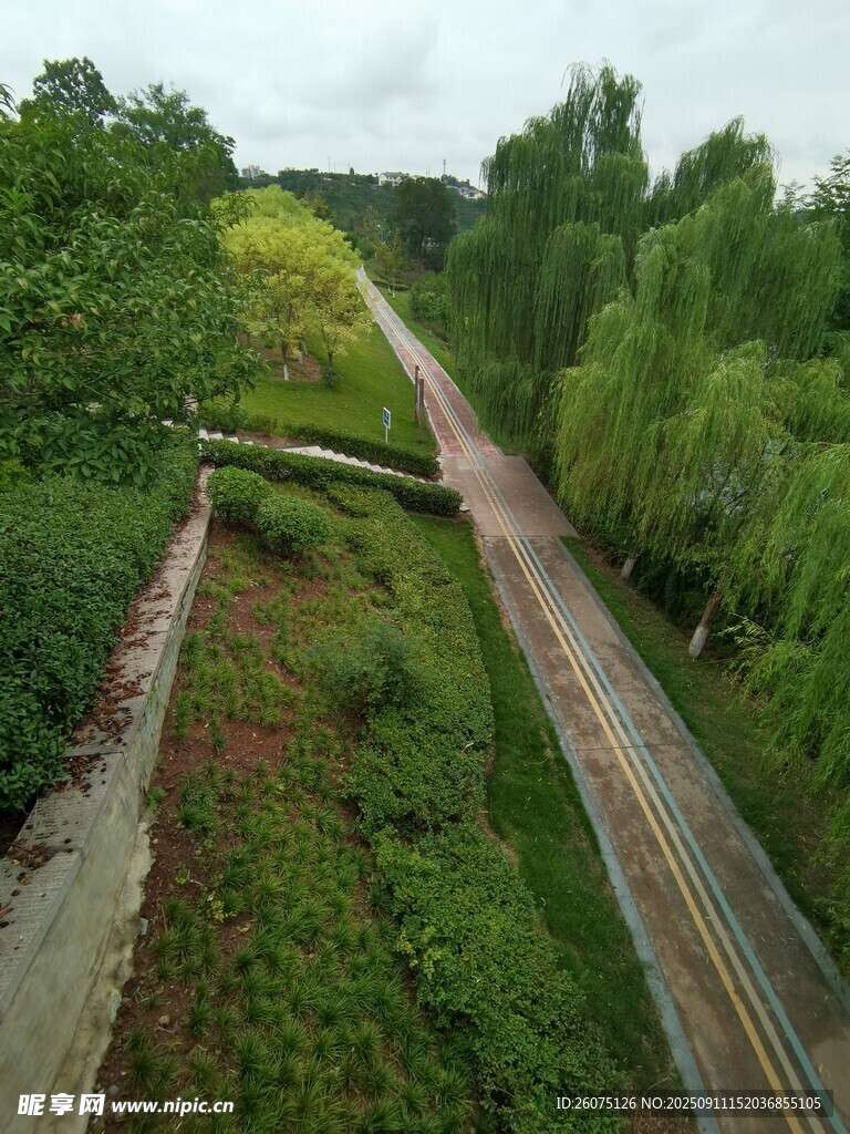 废弃铁轨被绿植环绕