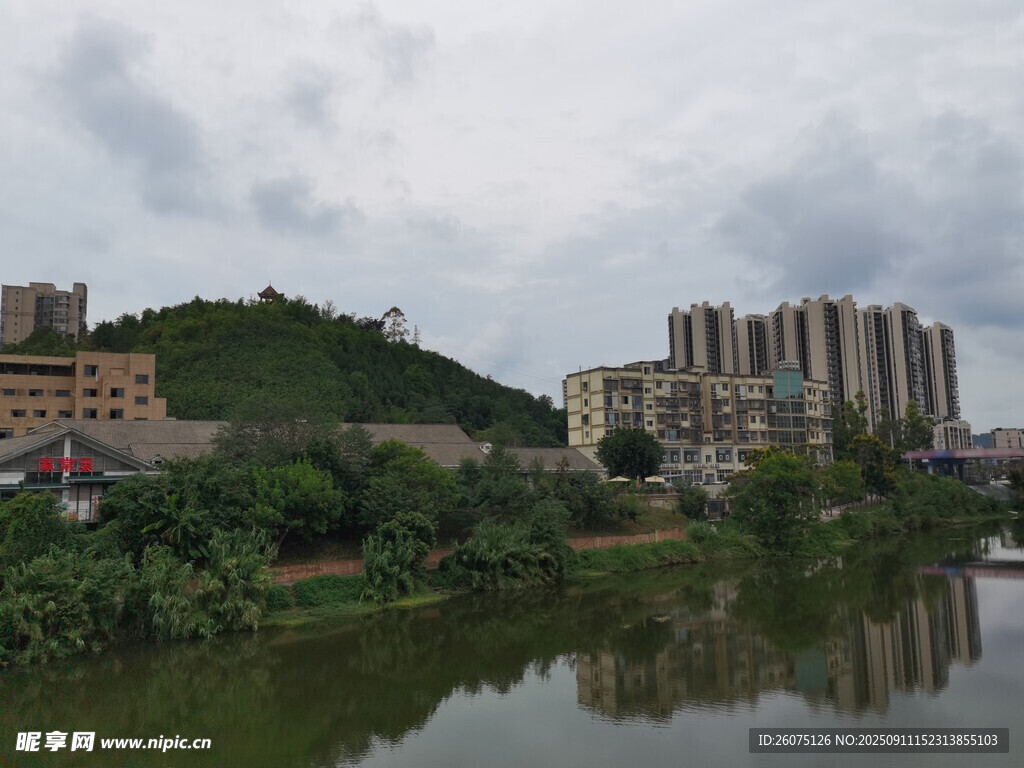 河畔城市风光与绿植景观