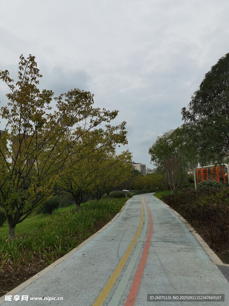 乡村彩色小路与绿树风景
