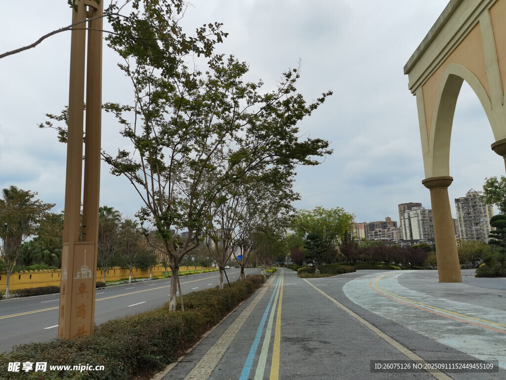 城市街道旁的绿化与建筑