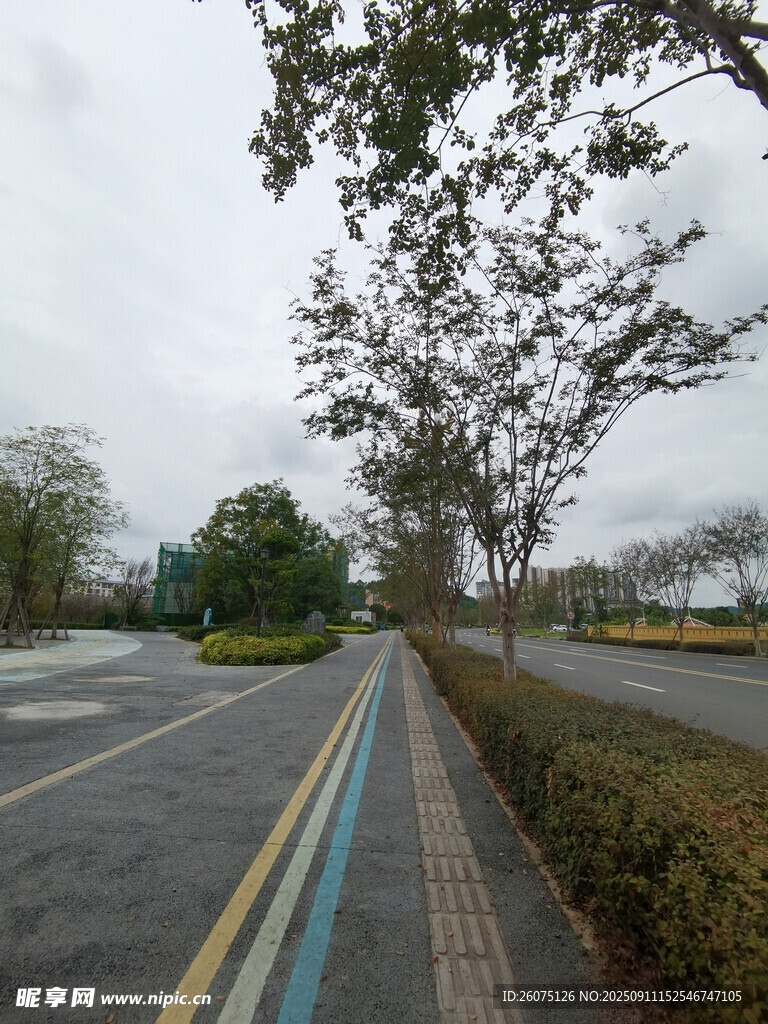 城市道路旁的绿化带景观