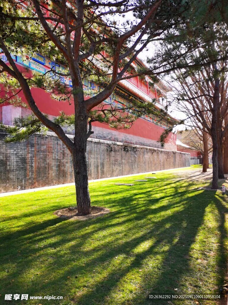 红墙绿树间的光影景致