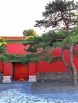 红墙古松中式庭院景致